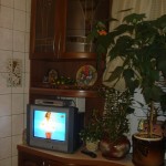 Мебель дерево 